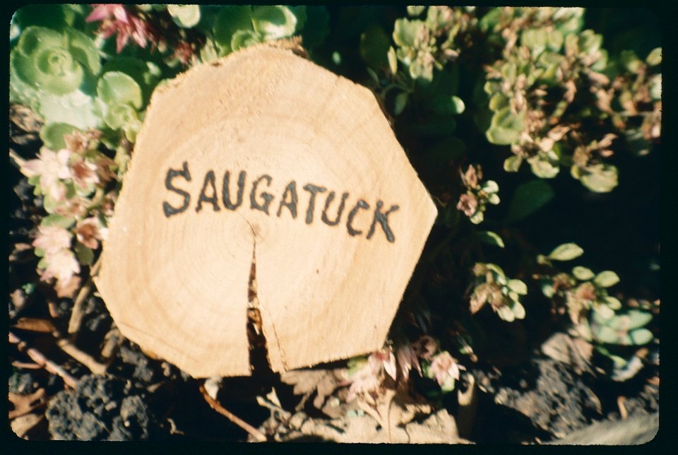 Log Burned Saugatuck